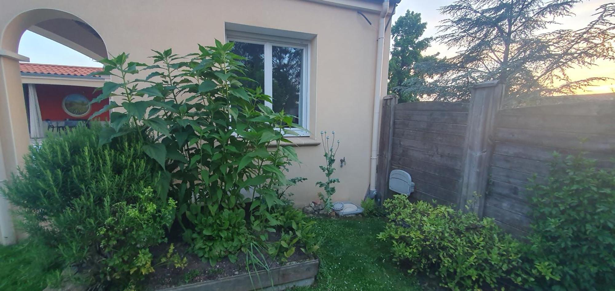 Gite Calme #2 Ou 3 Pers #Piscine #Cholet #Wifi Haut Debit #Travailleurs Thales Lacroix Et Autres Entreprises #Petits Dejeuners Et Repas Possibles Sur Demande Le May-sur-Evre Bagian luar foto